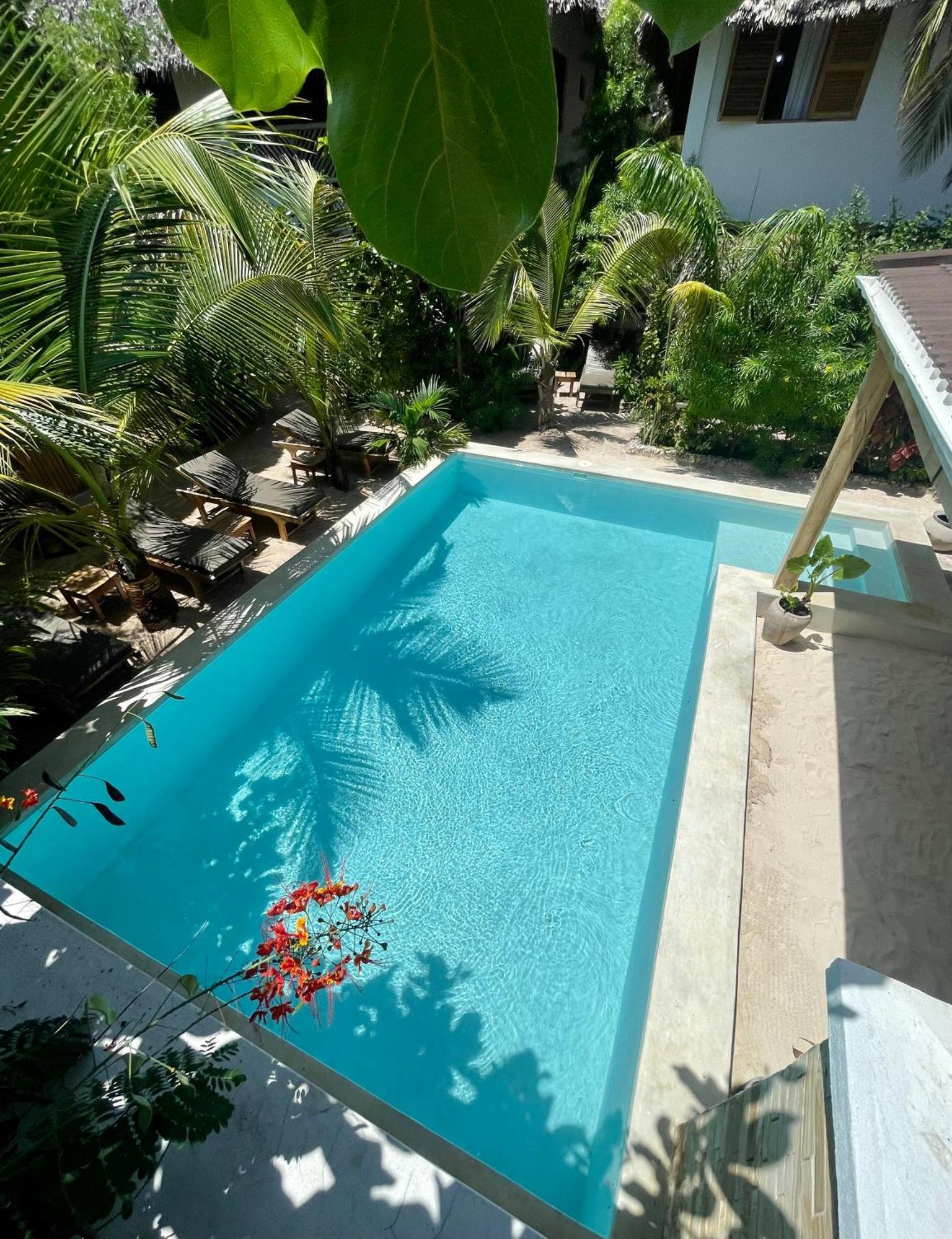Nakupenda Paje Villa Exteriör bild