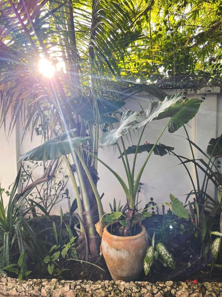 Nakupenda Paje Villa Exteriör bild